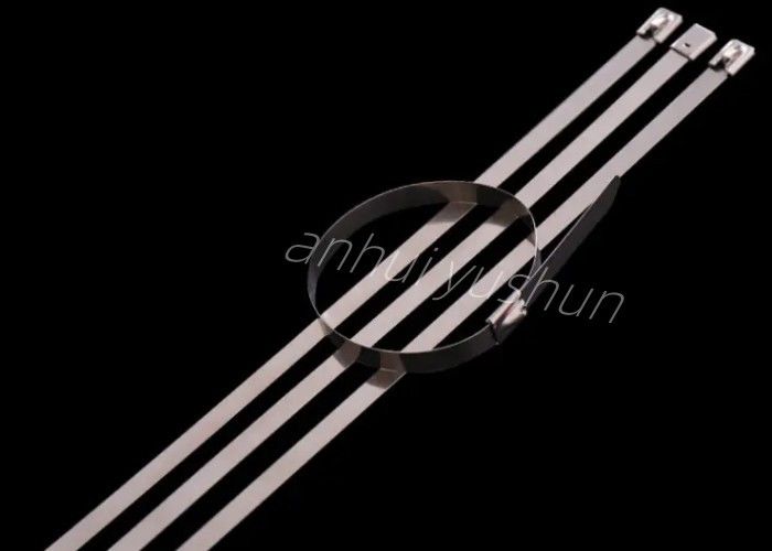 тип стальная нержавеющая связь пряжки 150mm кабеля для расположения провода